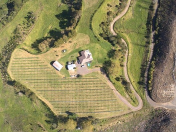 307 Campbell Road, Te Puke