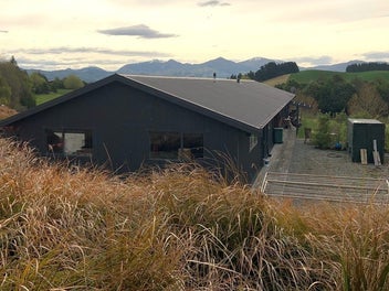 254 Greenvale Road, Geraldine, Geraldine