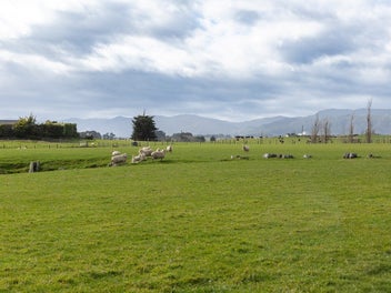 234 Kukutauaki Road, Koputaroa, Shannon