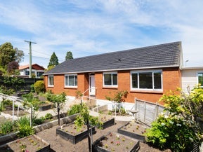 16 Farquharson Street, Opoho, Dunedin
