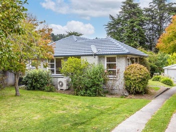 38 Waipara Street, Cracroft, Christchurch