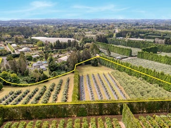 569 Kerikeri Road, KERIKERI, Kerikeri