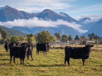 70 Hillside Manapouri Road, Manapouri, Manapouri