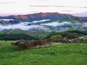 0 Gaddums Hill Road, Outer Kaiti, Gisborne
