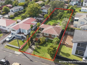 3 Linden Street, Mount Roskill, Auckland