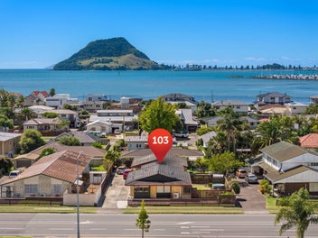 103 Chapel Street, Otumoetai, Tauranga