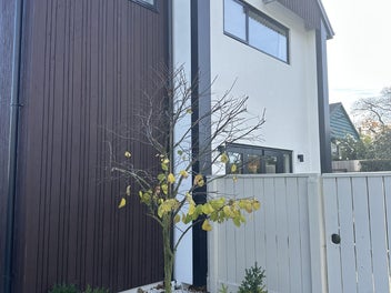 1/23 Studholme Street, Somerfield, Christchurch
