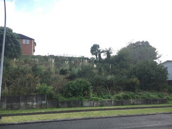 10 Warkworth Grove, Bell Block, New Plymouth