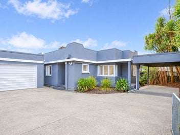 84 Rimu Street, Maeroa, Hamilton