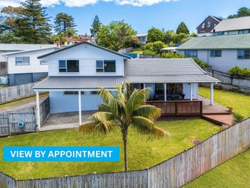 17 Fitzwater Place, Henderson, Auckland