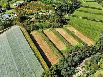 85 Wharawhara Road, Tahawai, Katikati