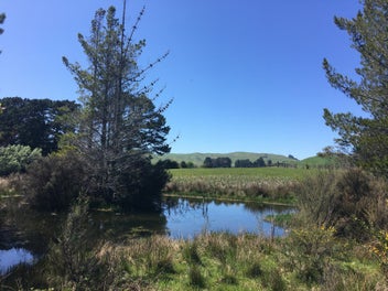 0 Stanly Street, Eketahuna, Eketahuna