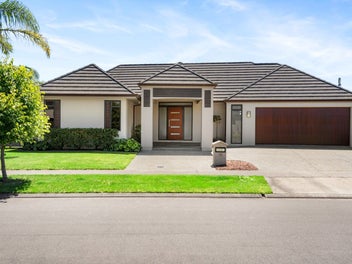 58 Merlot Drive, Greenmeadows, Napier