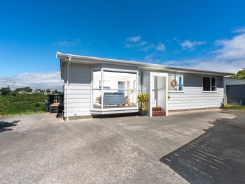 303 Mitchell Street, Brooklyn, Wellington