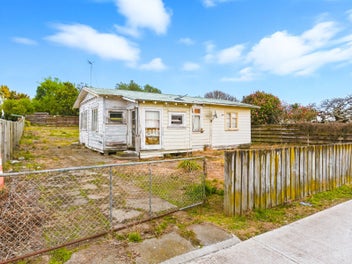 8 Montgomery Street, Levin, Levin