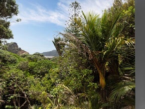 6 Sylvan Glade, Piha, Piha