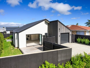 46 Napier Road, Terrace End, Palmerston North
