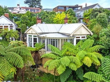 3 Tweed Street, Roslyn, Dunedin
