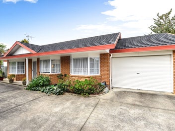 14 Darley Street, Maeroa, Hamilton