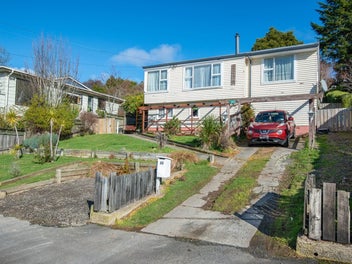 20 Cockerell Street, Brockville, Dunedin