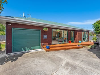 201 Vogel Street, Roslyn, Palmerston North