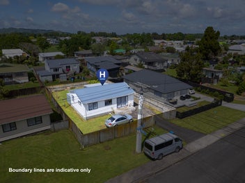 21 Andrews Street, Paeroa, Paeroa