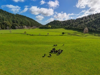 1584 Brunswick Road, Kai Iwi, Whanganui