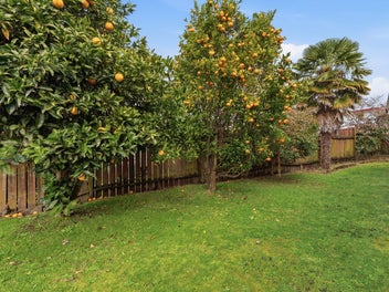 21 Bayview Street, Te Puke, Te Puke