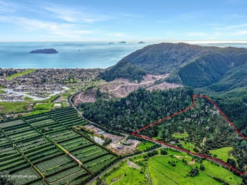 896A Hikuai Settlement Road, Pauanui