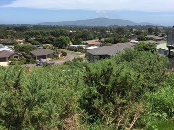 30B Kakariki Grove, Waikanae