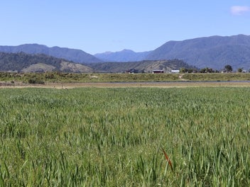 0 Karamea Hwy, Karamea