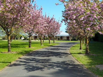 1262 Maraekakaho Road, Longlands, Hastings