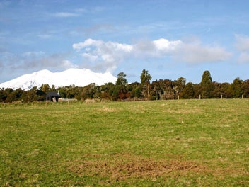 8 Horopito Heights, Horopito