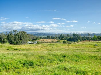 445 Lake Kaniere Road, BLUE SPUR, HOKITIKA
