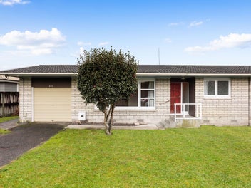 163 Clarkin Road, Fairfield, Hamilton