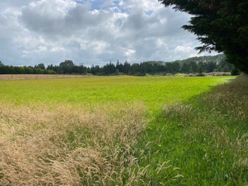 0 Makotuku Valley Rd (State Highway 4), Raetihi, Raetihi