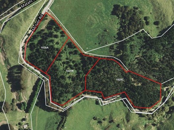 1028C Mcivor Road, Rotomā, Whakatāne