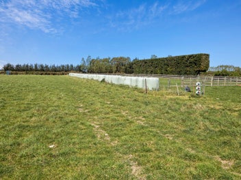 119 Gartartan Road, Willowby, Ashburton