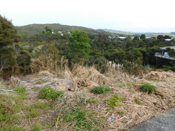 35 Goffe Drive, Haruru