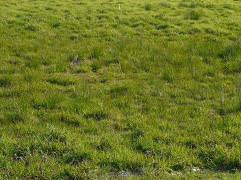 52 Saint George Street, Papatoetoe, Auckland