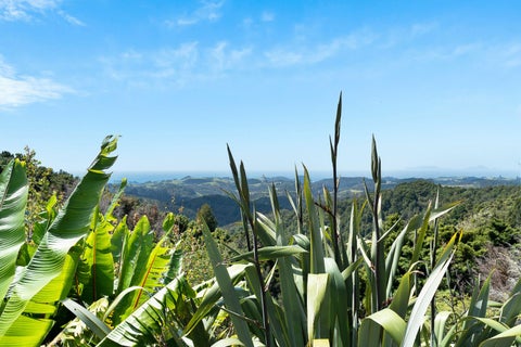98 Kiwi Bush Lane, Ngunguru, Whangārei