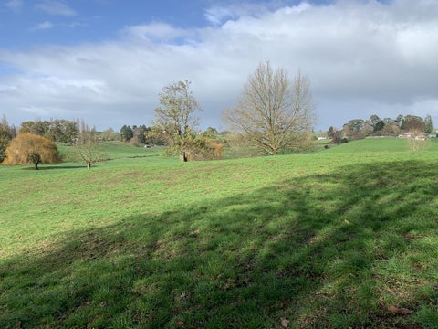 352 Otorohanga Road, Tokanui, Te Awamutu