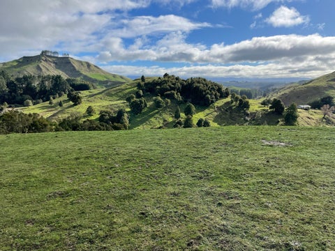 38 Ruhi Road, Dannevirke