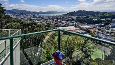 2 Pearce Street, Vogeltown, Wellington