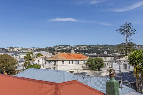 69D Elizabeth Street, Mount Victoria, Wellington