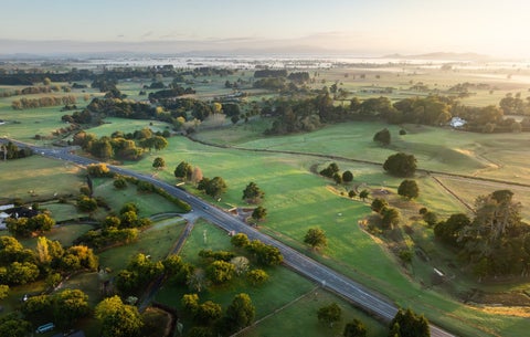 1232C Gordonton Road, Gordonton, Hamilton