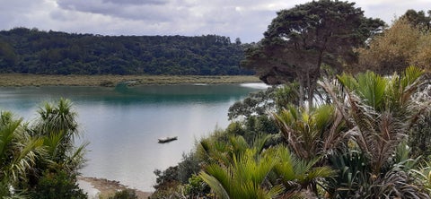 9 Okura River Road, Albany