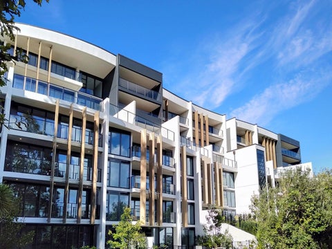 501/8 Kingsland Terrace, Kingsland, Auckland
