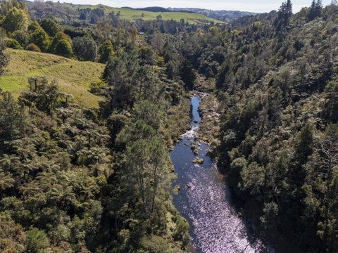 1525 State Highway 29, Lower Kaimai, Lower Kaimai