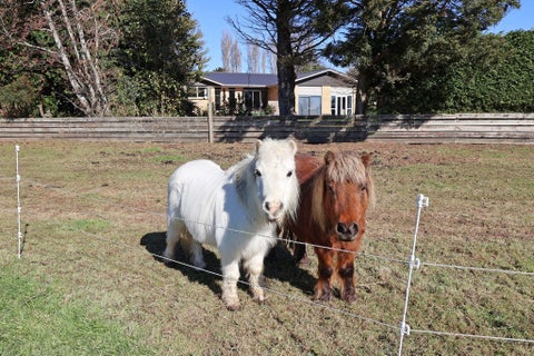 36 Mill Road North, Mill Road, Invercargill
